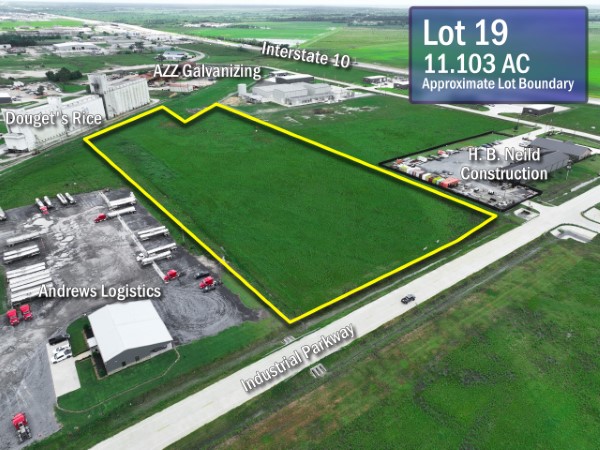 Lot #19